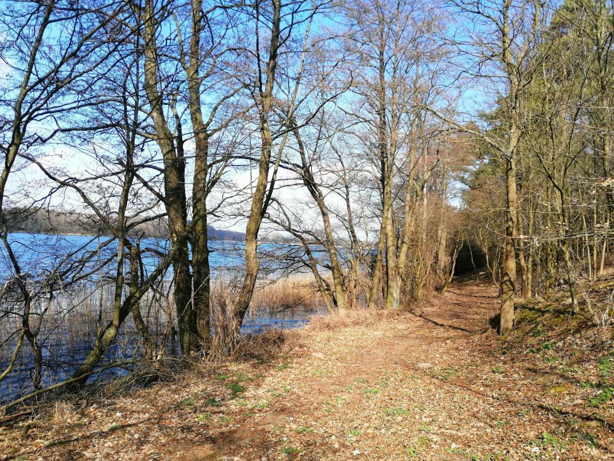 Domki Nad Jeziorem Dąbrówno Екстериор снимка