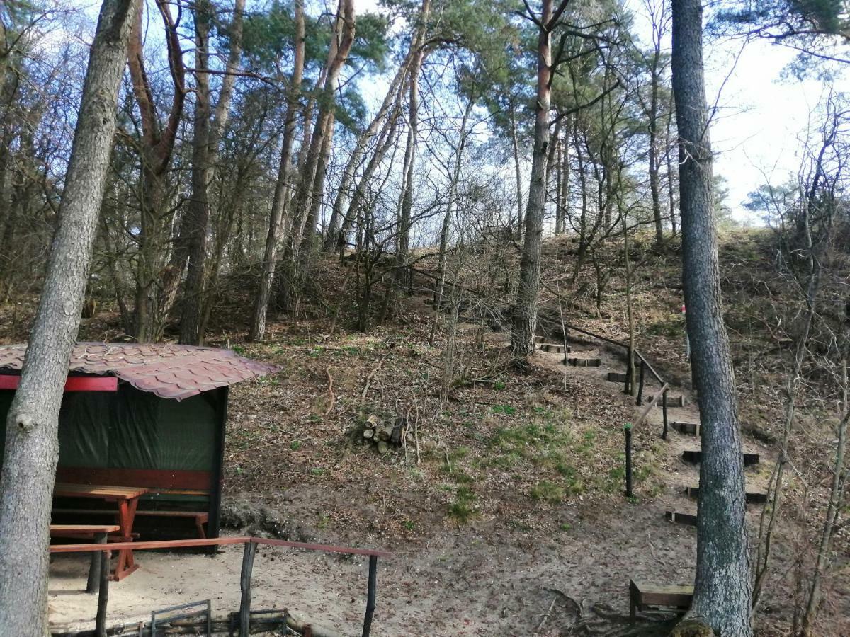 Domki Nad Jeziorem Dąbrówno Екстериор снимка